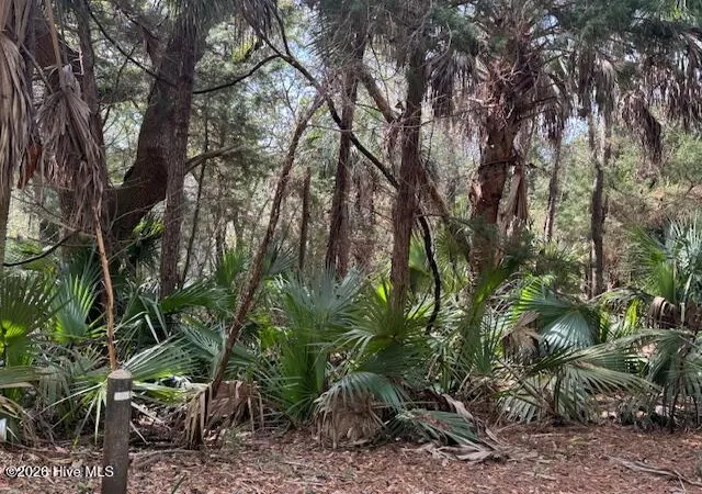 Photo 1 of Land for sale at 4 Dowitcher Trl, Bald Head Island, NC 28461 | MLS# 100558444 | Listing updated on 2026-07-30