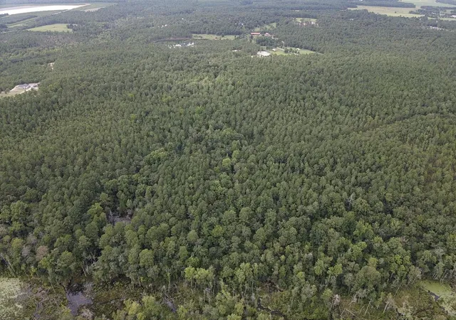 Homes for sale in Trenton, SC | Tbd Johnston Hwy, Trenton, SC 29847 | MLS# 98254696