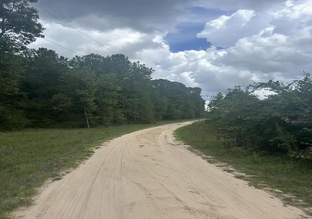 Homes for sale in Trenton, SC | Tbd Johnston Hwy, Trenton, SC 29847 | MLS# 98254696