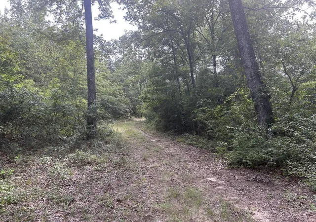 Homes for sale in Trenton, SC | Tbd Johnston Hwy, Trenton, SC 29847 | MLS# 98254696