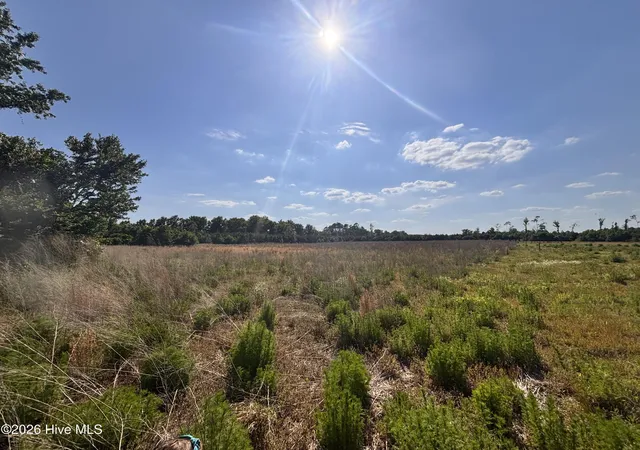 Photo 2 of Land for sale at Lot 2 Bass Lake Rd, Clinton, NC 28328 | MLS# 100580407 | Listing updated on 2026-06-10