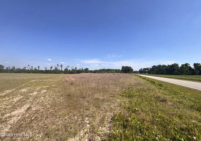 Photo 3 of Land for sale at Lot 2 Bass Lake Rd, Clinton, NC 28328 | MLS# 100580407 | Listing updated on 2026-06-10