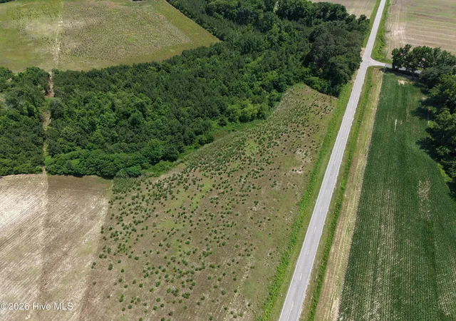 Photo 4 of Land for sale at Lot 2 Bass Lake Rd, Clinton, NC 28328 | MLS# 100580407 | Listing updated on 2026-06-10