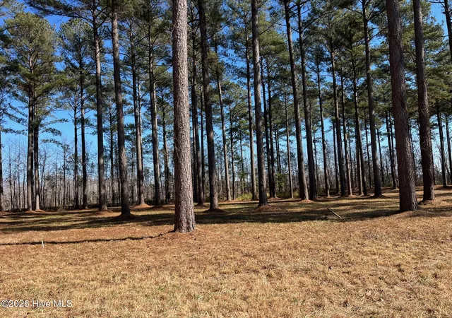 Photo 2 of Land for sale at 40 Currituck Ct, Oriental, NC 28571 | MLS# 100555708 | Listing updated on 2026-10-07