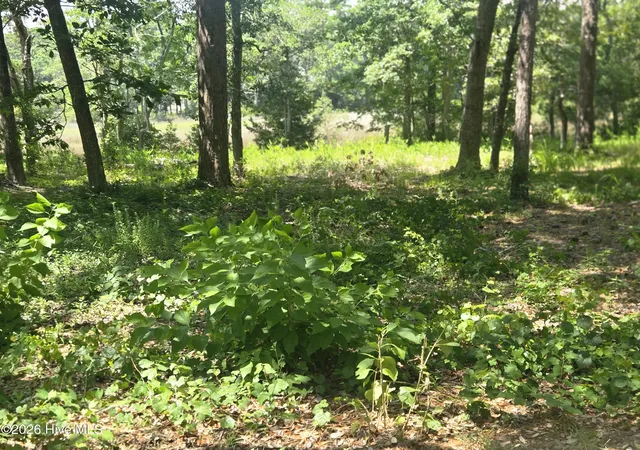 Photo 3 of Land for sale at 3183 Mullet Crk Pl Se, Bolivia, NC 28422 | MLS# 100589576 | Listing updated on 2026-08-18