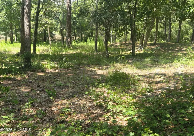 Photo 4 of Land for sale at 3183 Mullet Crk Pl SE, Bolivia, NC 28422 | MLS# 100589576 | Listing updated on 2026-08-18