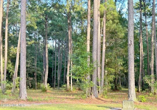 4th image of 379 Mill Creek Dr, Arapahoe, NC 28510 | MLS# 100481716