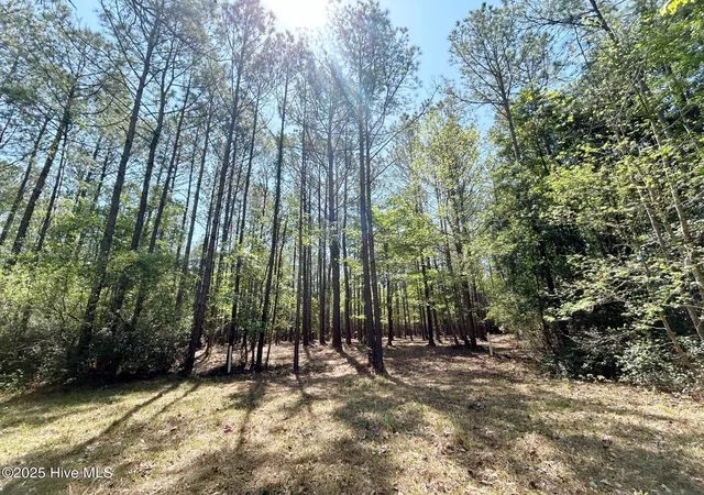 5th image of 379 Mill Creek Dr, Arapahoe, NC 28510 | MLS# 100481716