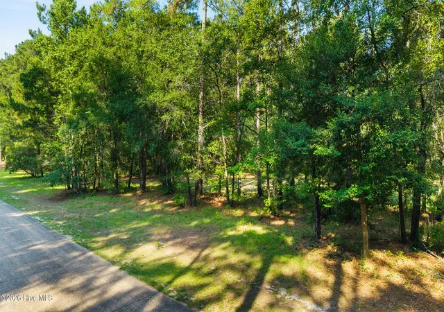 Photo 1 of Land for sale at 230 River Woods Dr, Wallace, NC 28466 | MLS# 100593232 | Listing updated on 2026-08-18