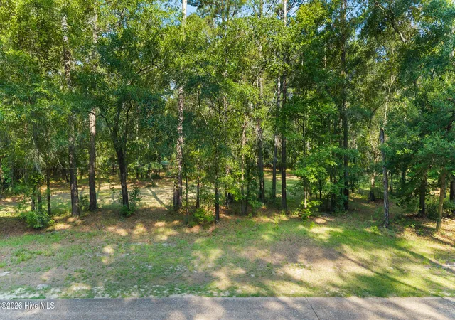 Photo 2 of Land for sale at 230 River Woods Dr, Wallace, NC 28466 | MLS# 100593232 | Listing updated on 2026-08-18
