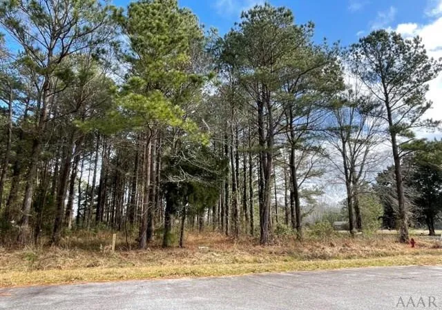 Photo 3 of Land for sale at 0 New Rd, Columbia, NC 27925 | MLS# 100544764 | Listing updated on 2026-07-07