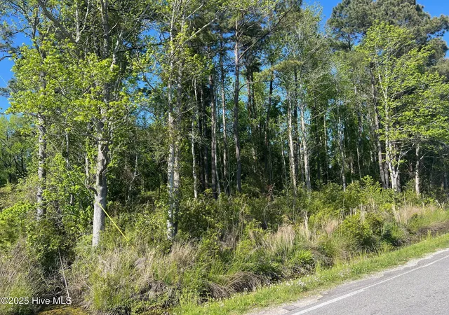 Photo 1 of Land for sale at 770 Laurel Rd, Beaufort, NC 28516 | MLS# 100501885 | Listing updated on 2026-05-29