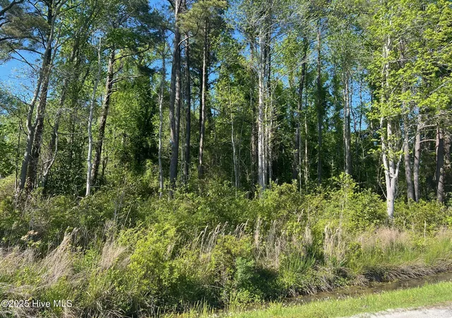 Photo 2 of Land for sale at 770 Laurel Rd, Beaufort, NC 28516 | MLS# 100501885 | Listing updated on 2026-05-29