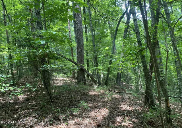 Homes for sale in Murphy, NC | P/O 2340 Candy Mountain Rd, Murphy, NC 28906 | MLS# 100585191