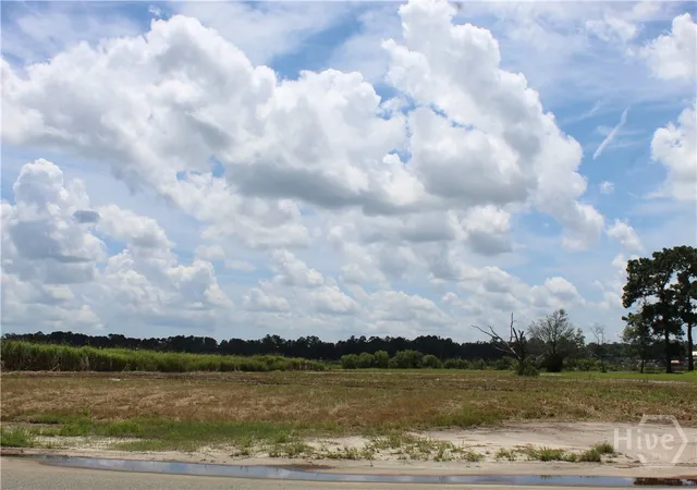 Homes for sale in Midway, GA | 24 Jerico Marsh Lot 24 Rd, Midway, GA 31320 | MLS# SA332853