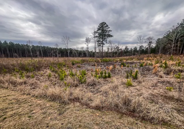 1st image of 1016 Hidden Lake Ct, Lincolnton, GA 30817 | MLS# 98211902