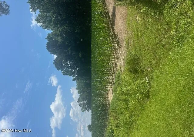1st image of Near 721 Joe Piver Rd, Chadbourn, NC 28431 | MLS# 100581070