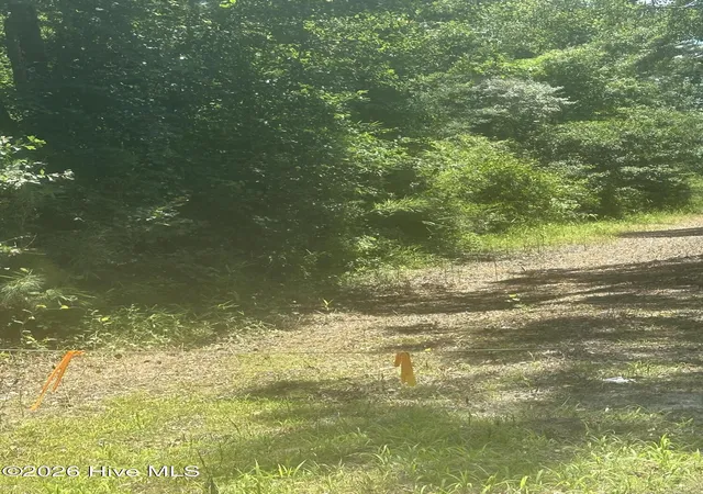 3rd image of Near 721 Joe Piver Rd, Chadbourn, NC 28431 | MLS# 100581070