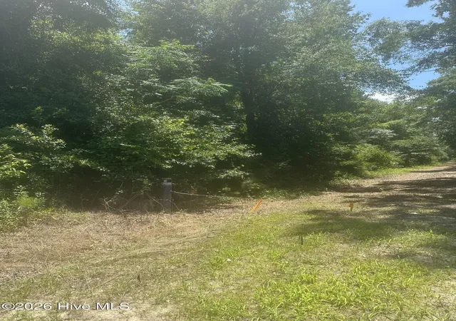 4th image of Near 721 Joe Piver Rd, Chadbourn, NC 28431 | MLS# 100581070