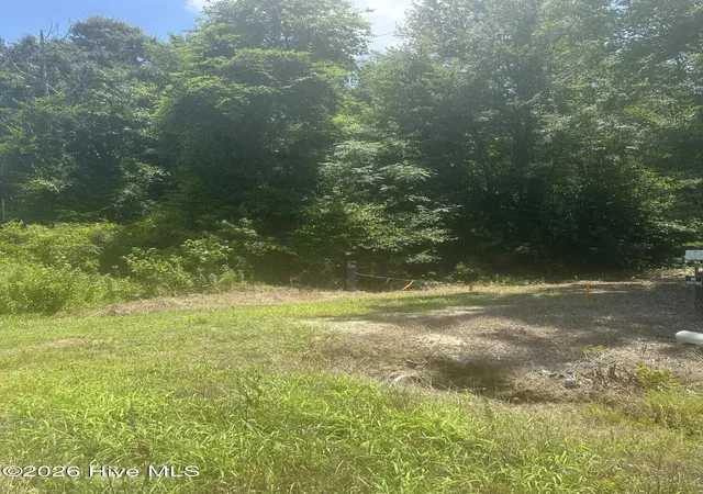 5th image of Near 721 Joe Piver Rd, Chadbourn, NC 28431 | MLS# 100581070