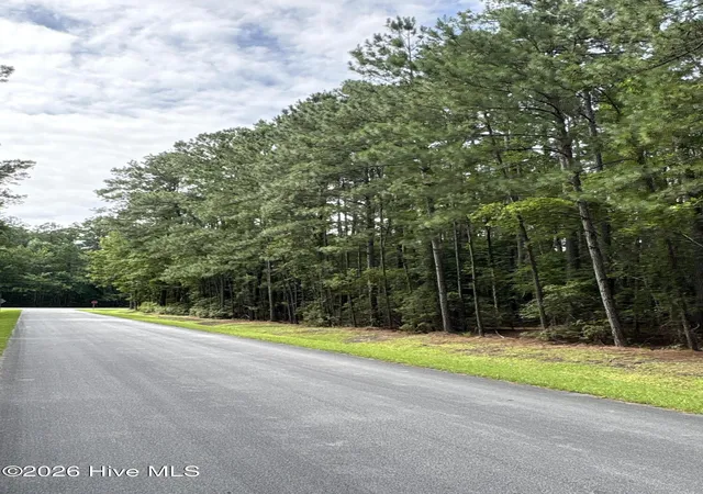 Photo 2 of Land for sale at 45 Headwaters Dr, Oriental, NC 28571 | MLS# 100589121 | Listing updated on 2026-07-15