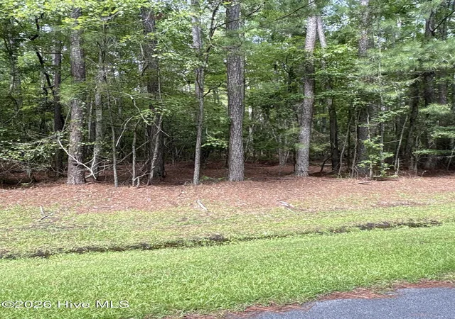 Photo 4 of Land for sale at 45 Headwaters Dr, Oriental, NC 28571 | MLS# 100589121 | Listing updated on 2026-07-15