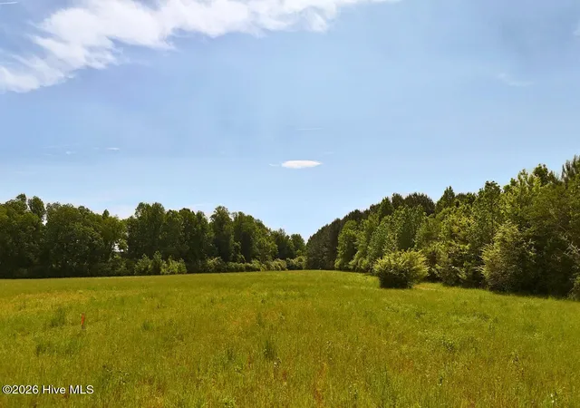 Photo 1 of Land for sale at 0 Old Chinquapin Rd, Beulaville, NC 28518 | MLS# 100571815 | Listing updated on 2026-09-21