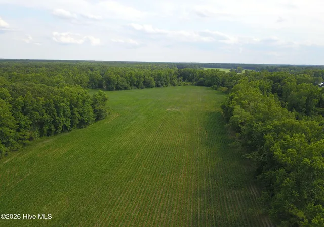 Homes for sale in Chinquapin, NC | 1817 Off S/ Rd S, Chinquapin, NC 28521 | MLS# 100587846