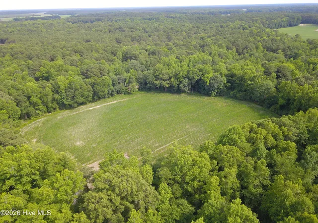 Homes for sale in Chinquapin, NC | 1817 Off S/ Rd S, Chinquapin, NC 28521 | MLS# 100587846