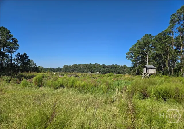 1st image of 0 River Rd, Midway, GA 31320 | MLS# SA356057