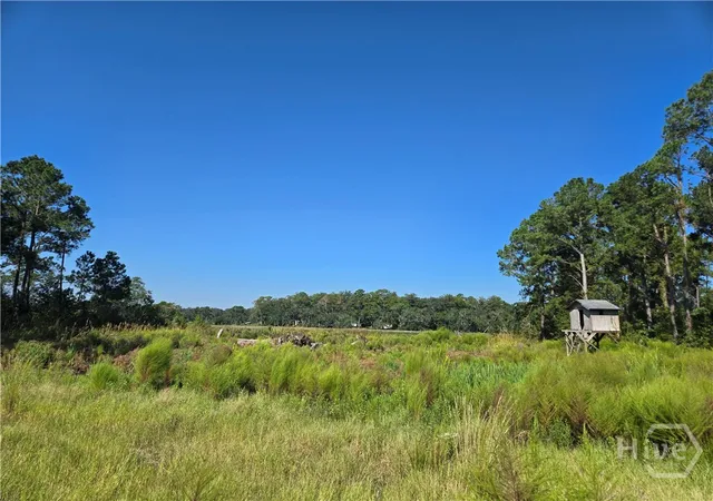 2nd image of 0 River Rd, Midway, GA 31320 | MLS# SA356057