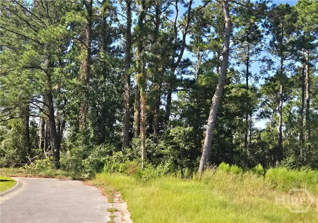 5th image of 0 River Rd, Midway, GA 31320 | MLS# SA356057