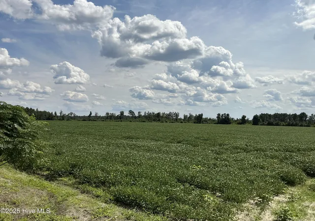 2nd image of 0 Near 685 Rossie Ober Rd, Whiteville, NC 28472 | MLS# 100556587