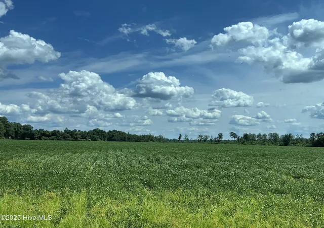 5th image of 0 Near 685 Rossie Ober Rd, Whiteville, NC 28472 | MLS# 100556587