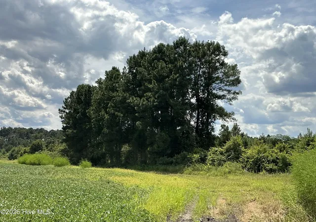 9th image of 0 Near 685 Rossie Ober Rd, Whiteville, NC 28472 | MLS# 100556587