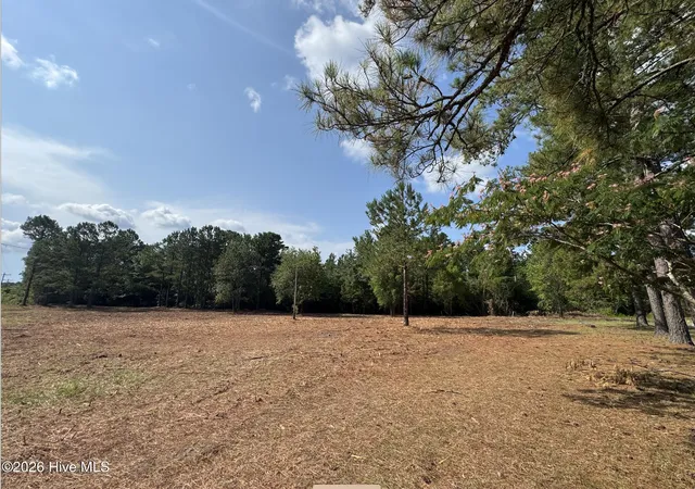 Photo 3 of Land for sale at 1187 Green Hl Rd NE, Leland, NC 28451 | MLS# 100584912 | Listing updated on 2026-08-22