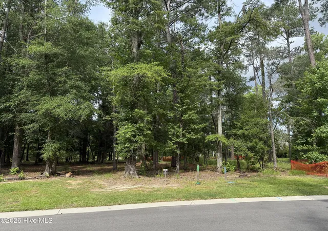 Photo 1 of Land for sale at 3698 Excelsior Ln, Castle Hayne, NC 28429 | MLS# 100583124 | Listing updated on 2026-09-09