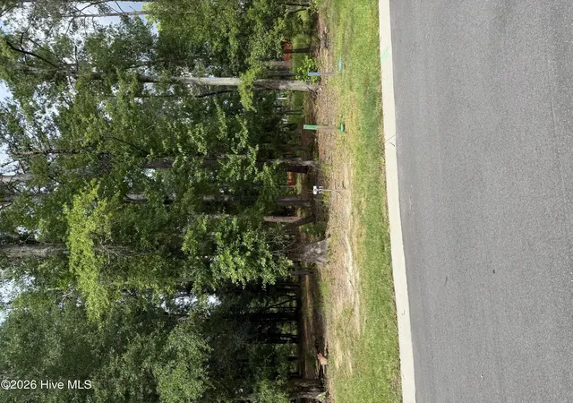 Photo 2 of Land for sale at 3698 Excelsior Ln, Castle Hayne, NC 28429 | MLS# 100583124 | Listing updated on 2026-09-09