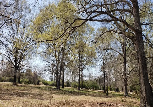 Photo 28 of Land for sale at 716 Augusta Rd, Edgefield, SC 29824 | MLS# 98211932 | Listing updated on 2026-08-25
