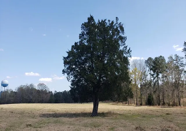 Photo 3 of Land for sale at 716 Augusta Rd, Edgefield, SC 29824 | MLS# 98211932 | Listing updated on 2026-08-25