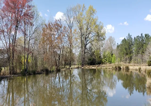 Photo 5 of Land for sale at 716 Augusta Rd, Edgefield, SC 29824 | MLS# 98211932 | Listing updated on 2026-08-25