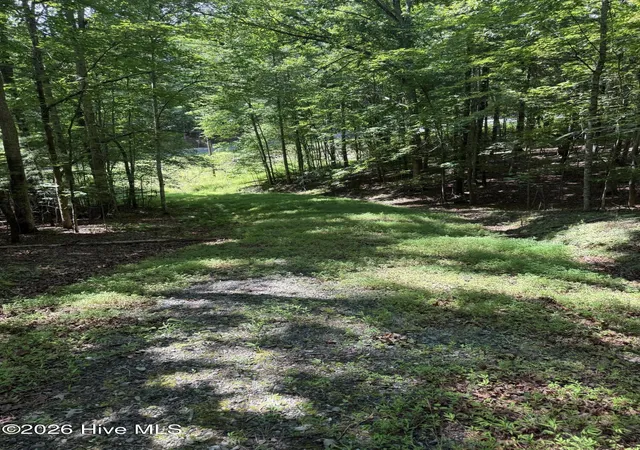 Homes for sale in Murphy, NC | 1 Friendship Church Rd, Murphy, NC 28906 | MLS# 100588843