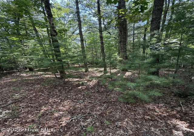 Homes for sale in Murphy, NC | 1 Friendship Church Rd, Murphy, NC 28906 | MLS# 100588843