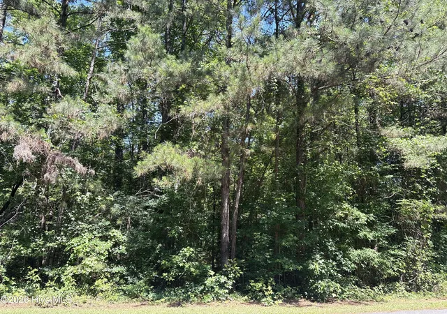 Homes for sale in Mc Cormick, SC | 0 Bereau Dr, Mc Cormick, SC 29835 | MLS# 100576565