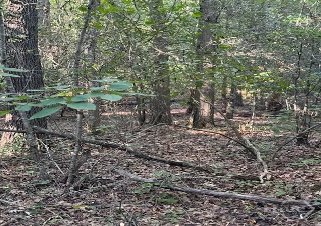 Photo 1 of Land for sale at 0 Rita Ridge #8, Eatonton, GA 31024 | MLS# CL339873 | Listing updated on 2026-08-31