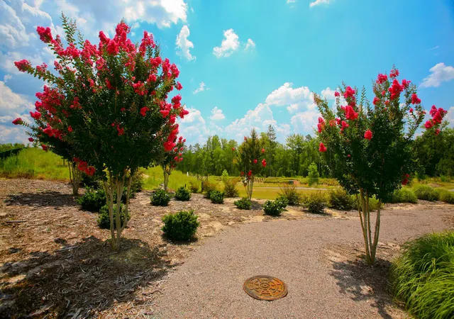 Photo 3 of Land for sale at Lot S21 Scarborough Pass, Aiken, SC 29801 | MLS# 100584123 | Listing updated on 2026-08-18