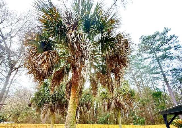 30th image of 352 Saint Julian Pl, North Augusta, SC 29860 | MLS# 98253507