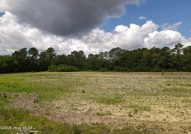 Photo 3 of Land for sale at 225 J Metts Dr Nw, Supply, NC 28462 | MLS# 100577259 | Listing updated on 2026-08-18
