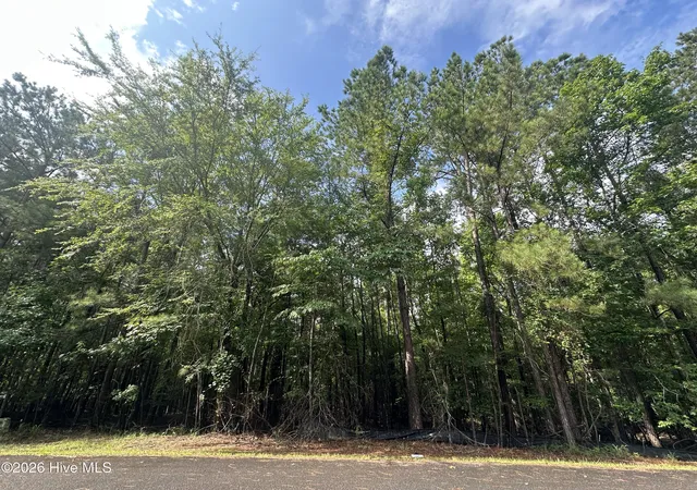 Photo 1 of Land for sale at B15 L26 Blair Ln, Mc Cormick, SC 29835 | MLS# 100589935 | Listing updated on 2026-08-18
