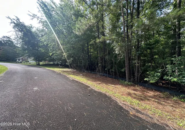 Photo 2 of Land for sale at B15 L26 Blair Ln, Mc Cormick, SC 29835 | MLS# 100589935 | Listing updated on 2026-08-18